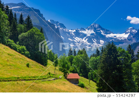 Mountain village Wengen, Switzerland Mountain village Wengen, Switzerland 55424297