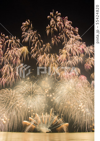 津花火大会 55424820