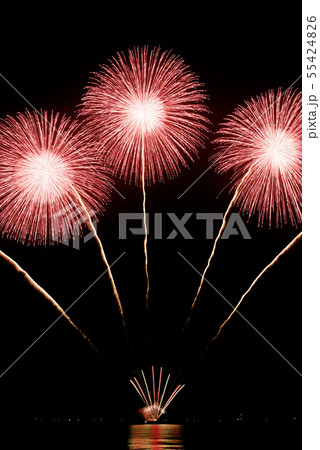 津花火大会 55424826