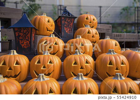 【ハロウィン】 【ハロウィン】 55424910