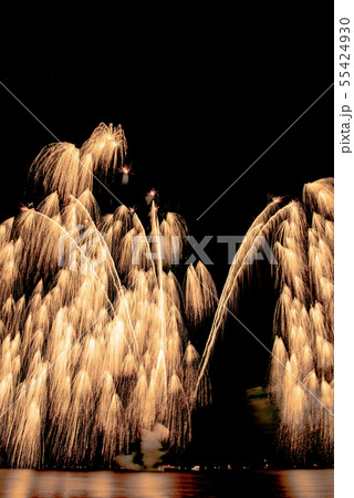 津花火大会 津花火大会 55424930