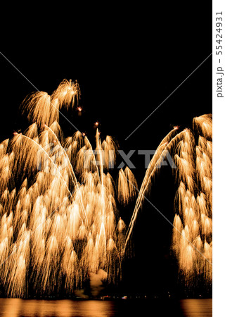 津花火大会 55424931