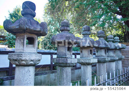 新緑の東京都上野公園の石灯籠の列 55425064