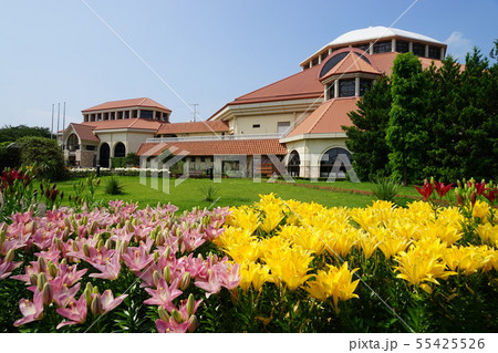 7月　深谷29百合の群生地･ｸﾞﾘｰﾝﾊﾟｰｸﾊﾟﾃｨｵ 55425526