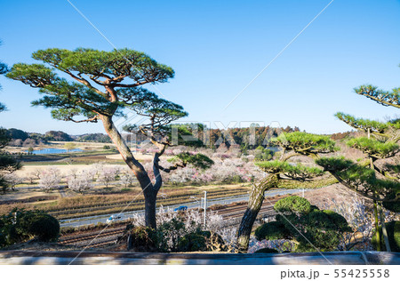 偕楽園 仙奕台からの眺め (茨城県水戸市) 2019年3月 偕楽園 仙奕台からの眺め (茨城県水戸市) 2019年3月 55425558