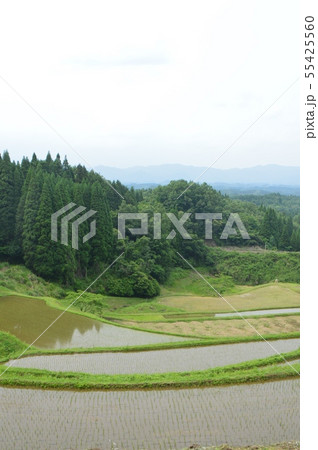 棚田（大分県） 55425560