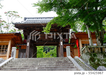 修善寺その1 修善寺その1 55425967