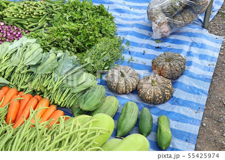 Shops selling vegetables at the market 55425974