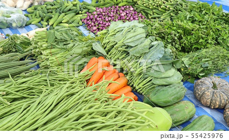 Shops selling vegetables at the market 55425976