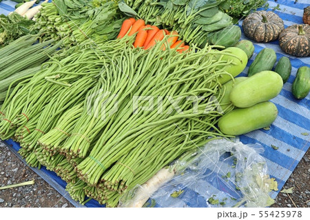 Shops selling vegetables at the market 55425978