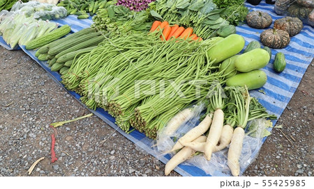 Shops selling vegetables at the market 55425985