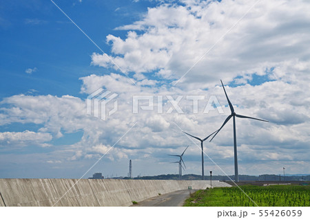 海岸に並ぶ風力発電装置 海岸に並ぶ風力発電装置 55426059