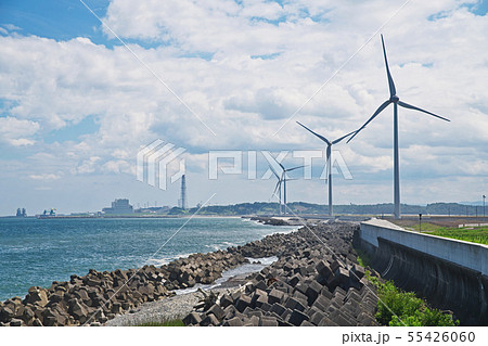 海岸に並ぶ風力発電装置 海岸に並ぶ風力発電装置 55426060