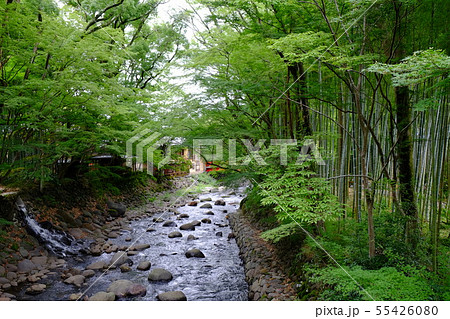 修善寺その31 修善寺その31 55426080