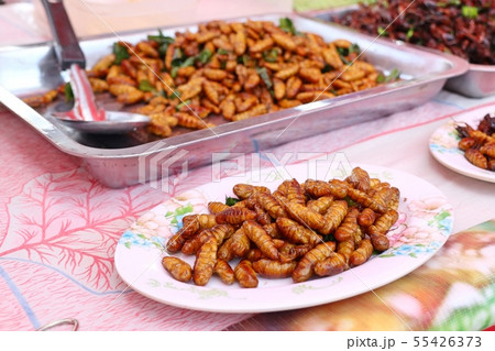 Fried insect at street food 55426373