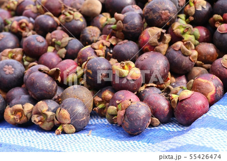 mangosteen fruit at street food mangosteen fruit at street food 55426474