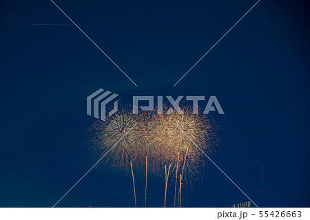 教祖祭PL花火芸術 55426663