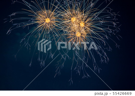 教祖祭PL花火芸術 教祖祭PL花火芸術 55426669