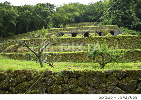 石見銀山遺跡 清水谷製錬所跡(島根県大田市) 石見銀山遺跡 清水谷製錬所跡(島根県大田市) 55427668