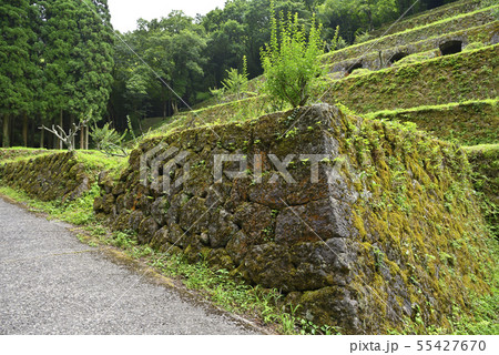 石見銀山遺跡 清水谷製錬所跡(島根県大田市) 石見銀山遺跡 清水谷製錬所跡(島根県大田市) 55427670
