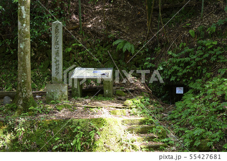 石見銀山遺跡 新切間歩(島根県大田市) 石見銀山遺跡 新切間歩(島根県大田市) 55427681