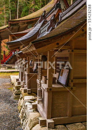 秋の滋賀坂本 日吉大社 北野社など 秋の滋賀坂本 日吉大社 北野社など 55428288