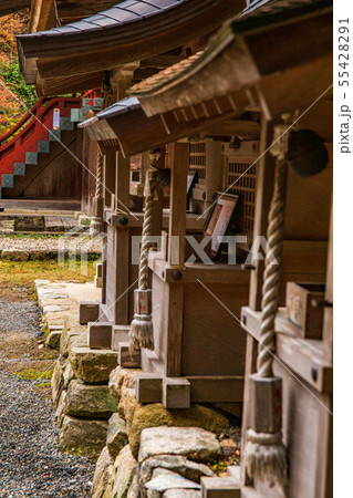 秋の滋賀坂本　日吉大社　北野社など 55428291