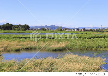 多々良沼 群馬県 多々良沼 群馬県 55428601
