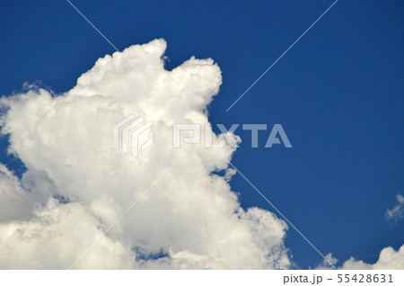 夏の空 55428631