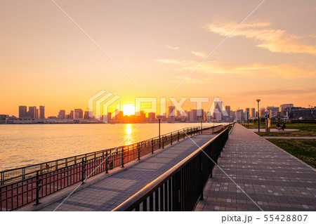 豊洲ぐるり公園の風景 （夕景） 55428807