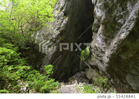 帝釈峡　鬼の唐門（広島県庄原市） 55428841