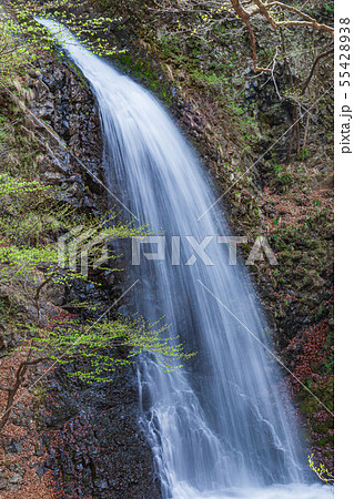 若葉と大仙の滝　群馬県 55428938