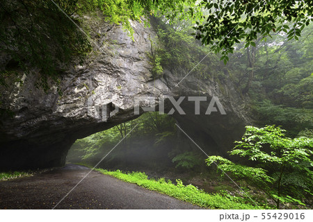 帝釈峡 雄橋(広島県庄原市) 帝釈峡 雄橋(広島県庄原市) 55429016