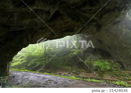 帝釈峡 雄橋(広島県庄原市) 帝釈峡 雄橋(広島県庄原市) 55429036
