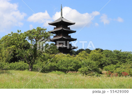 備中国分寺五重塔 吉備路 岡山県 備中国分寺五重塔 吉備路 岡山県 55429300