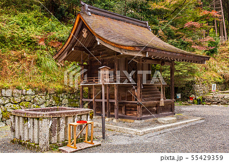 秋の滋賀坂本　日吉大社　新物忌神社及び亀井霊水 55429359