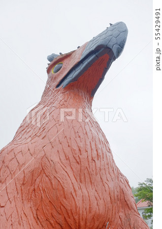 オブジェ 55429491