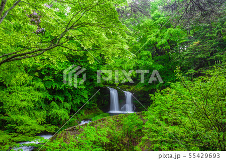 新緑の鐘山の滝　山梨県 55429693