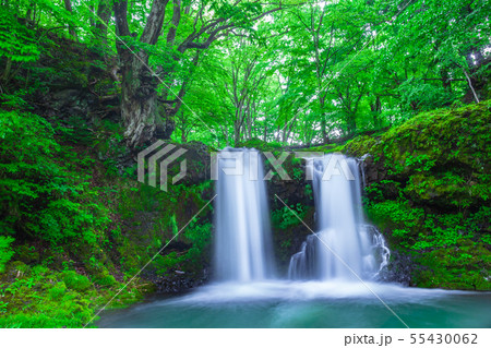 新緑の鐘山の滝　山梨県 55430062