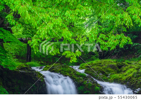 新緑の鐘山の滝　山梨県 55430065