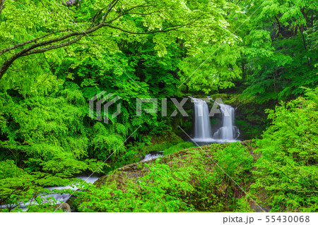 新緑の鐘山の滝 山梨県 新緑の鐘山の滝 山梨県 55430068