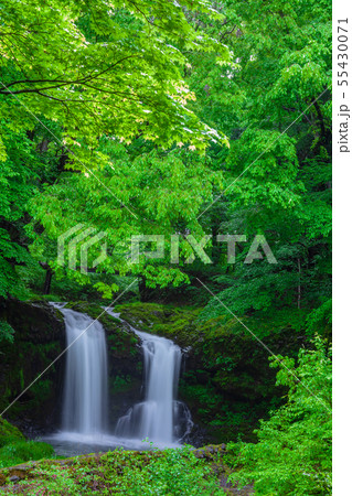 新緑の鐘山の滝　山梨県 55430071