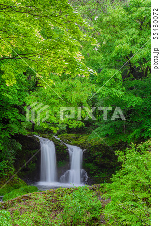 新緑の鐘山の滝 山梨県 新緑の鐘山の滝 山梨県 55430072