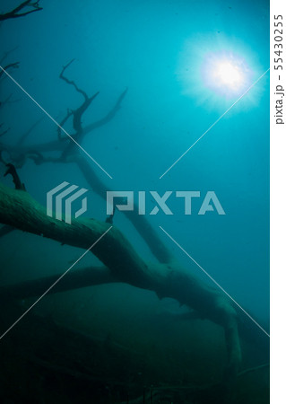 本栖湖 本栖湖 55430255