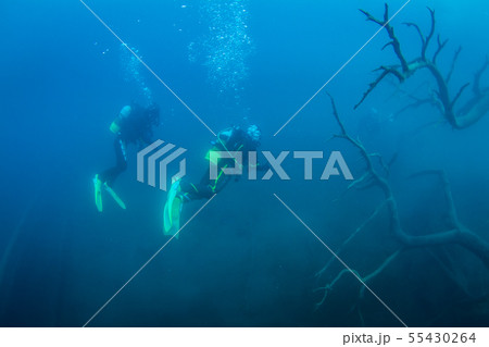 本栖湖 本栖湖 55430264