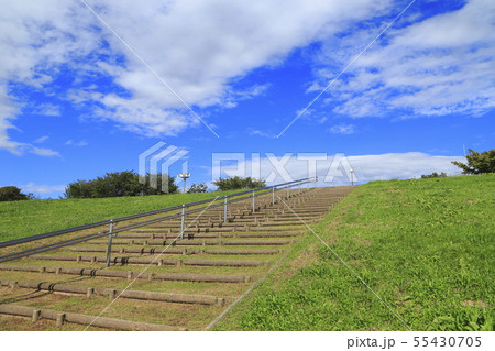 荒川の土手 55430705