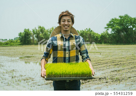 農業 田植えをする農夫 農業 田植えをする農夫 55431259