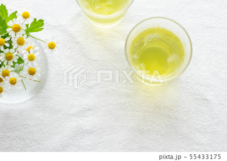グラスに入った冷たい緑茶 グラスに入った冷たい緑茶 55433175
