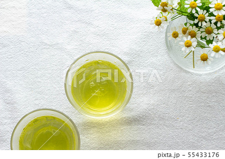 グラスに入った冷たい緑茶 グラスに入った冷たい緑茶 55433176