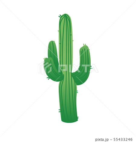 Green columnar Saguaro cactus with three branches or cacti arms cartoon style 55433246